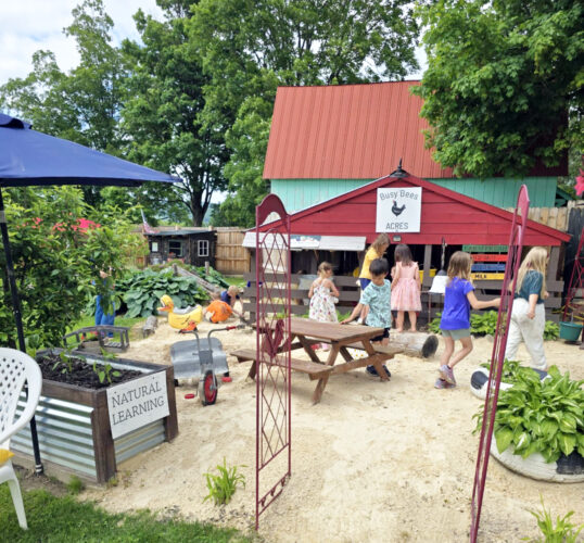Busy Bees Natural Learning Center celebrates 20 years
